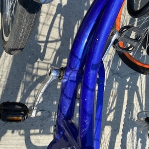 2013 Schwinn Roadster Trike Unisex tricycle Blue