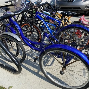 2013 Schwinn Roadster Trike Unisex tricycle Blue
