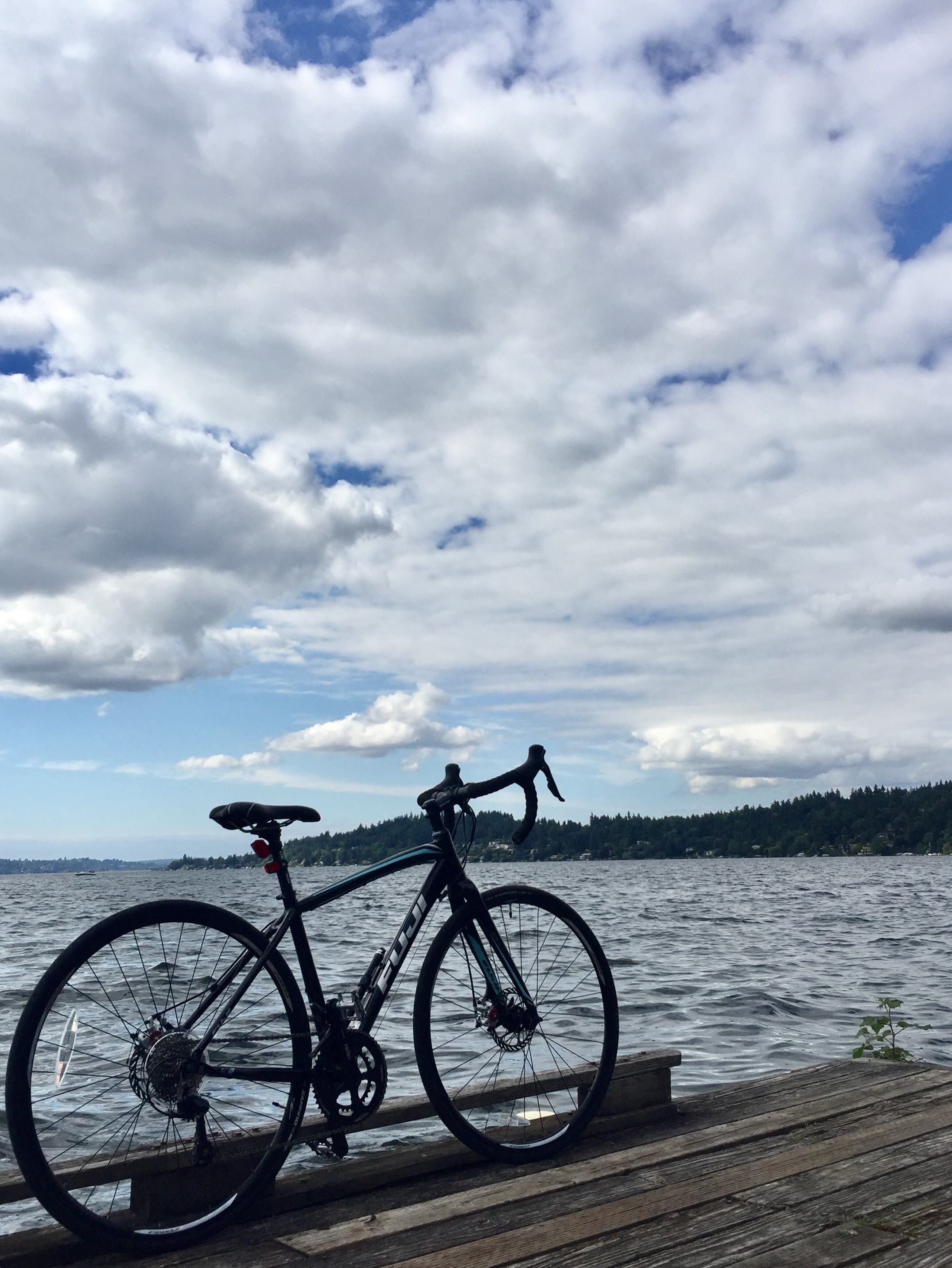 fuji a2 sl aluminum road bike