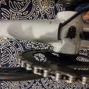 2024 Specialized Xlarge White and Black