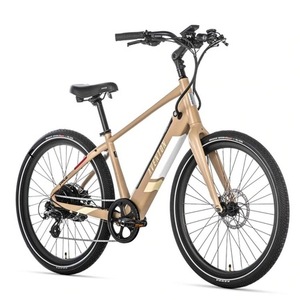 2023 Aventón Pace 500.2 Brown