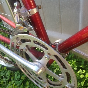 1983 Shogun 300 CrMo Red