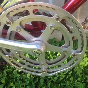 1983 Shogun 300 CrMo Red