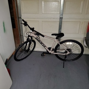2019 Giant Brown