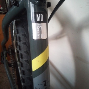 2021 Raleigh Talus 2 Silver, gray or bare metal