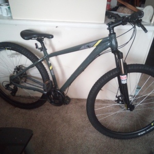 2021 Raleigh Talus 2 Silver, gray or bare metal