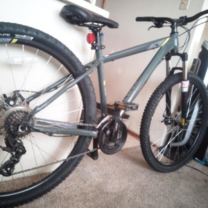 2021 Raleigh Talus 2 Silver, gray or bare metal