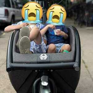 2022 Urban Arrow Family Cargo Black