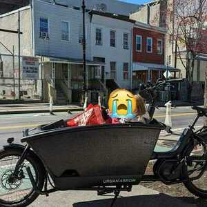 2022 Urban Arrow Family Cargo Black