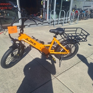 2023 AIPAS Yellow or Gold