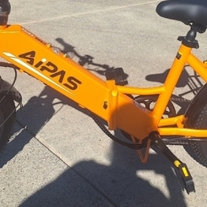 2023 AIPAS Yellow or Gold