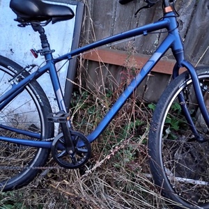 Giant Blue and Black