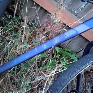 Giant Blue and Black