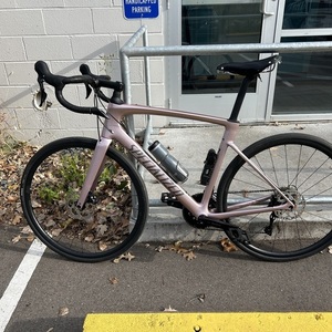 2025 Specialized Roubaix SL8 Sport 105 Pink