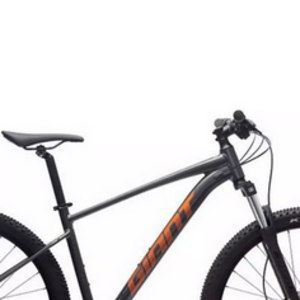 2020 Giant Mountain bike Silver, gray or bare metal and Red