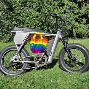 2022 Juiced Bikes Camp Scrambler Silver, gray or bare metal
