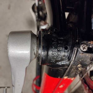 2024 Specialized L Red