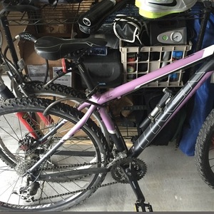 Trek Gary Fischer Mamba Purple