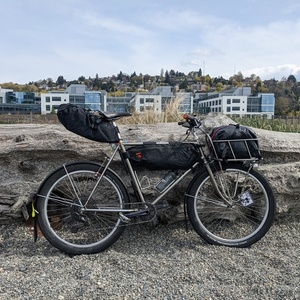 1982 Specialized Stumpjumper Silver, gray or bare metal