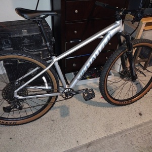 2022 Specialized Specialize Silver, gray or bare metal