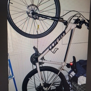 2019 Giant Brown