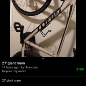 2019 Giant Brown