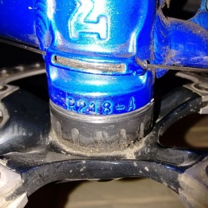 2009 Masi Vincere Blue