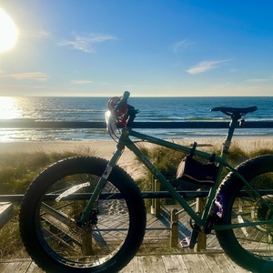 2022 Surly Wednesday Green and Purple