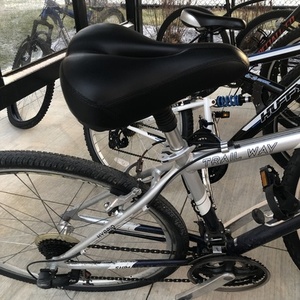 2020 Schwinn Silver, gray or bare metal