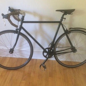 2009 Surly Steamroller