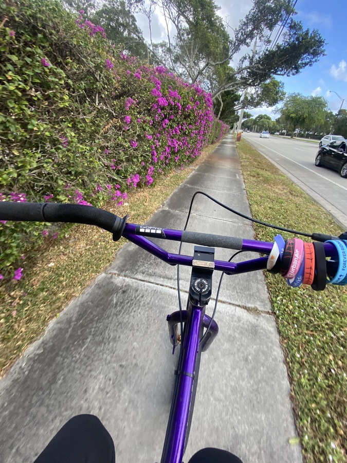 Se Fast Ripper Blue 2021 SE Bikes SE Bikes Fast Ripper 29 BMX 2019