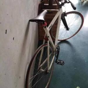 2011 Leader Bikes 725 White