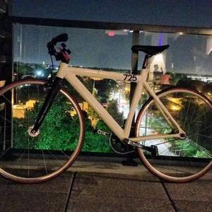 2011 Leader Bikes 725 White