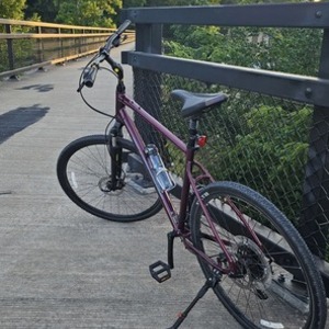 2022 Giant Cypress 2