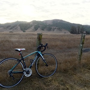 2013 Specialized Amira Compact Black