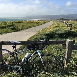 2013 Specialized Amira Compact Black