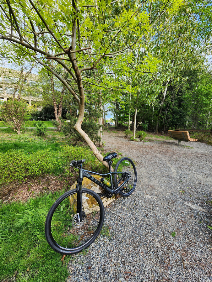 Bike photo