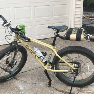2016 Momentum Rockr Yellow or Gold, Green, and Stickers tape or other cover-up