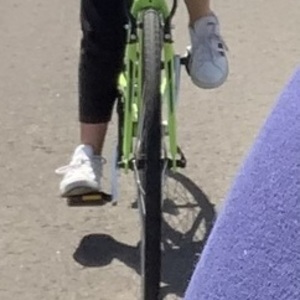 2019 Trek FX 2 Green