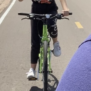 2019 Trek FX 2 Green