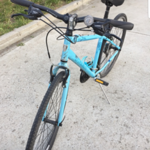 Trek 7.3 FX Blue and Purple