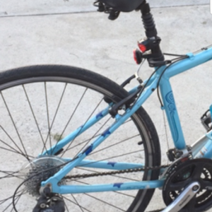 Trek 7.3 FX Blue and Purple