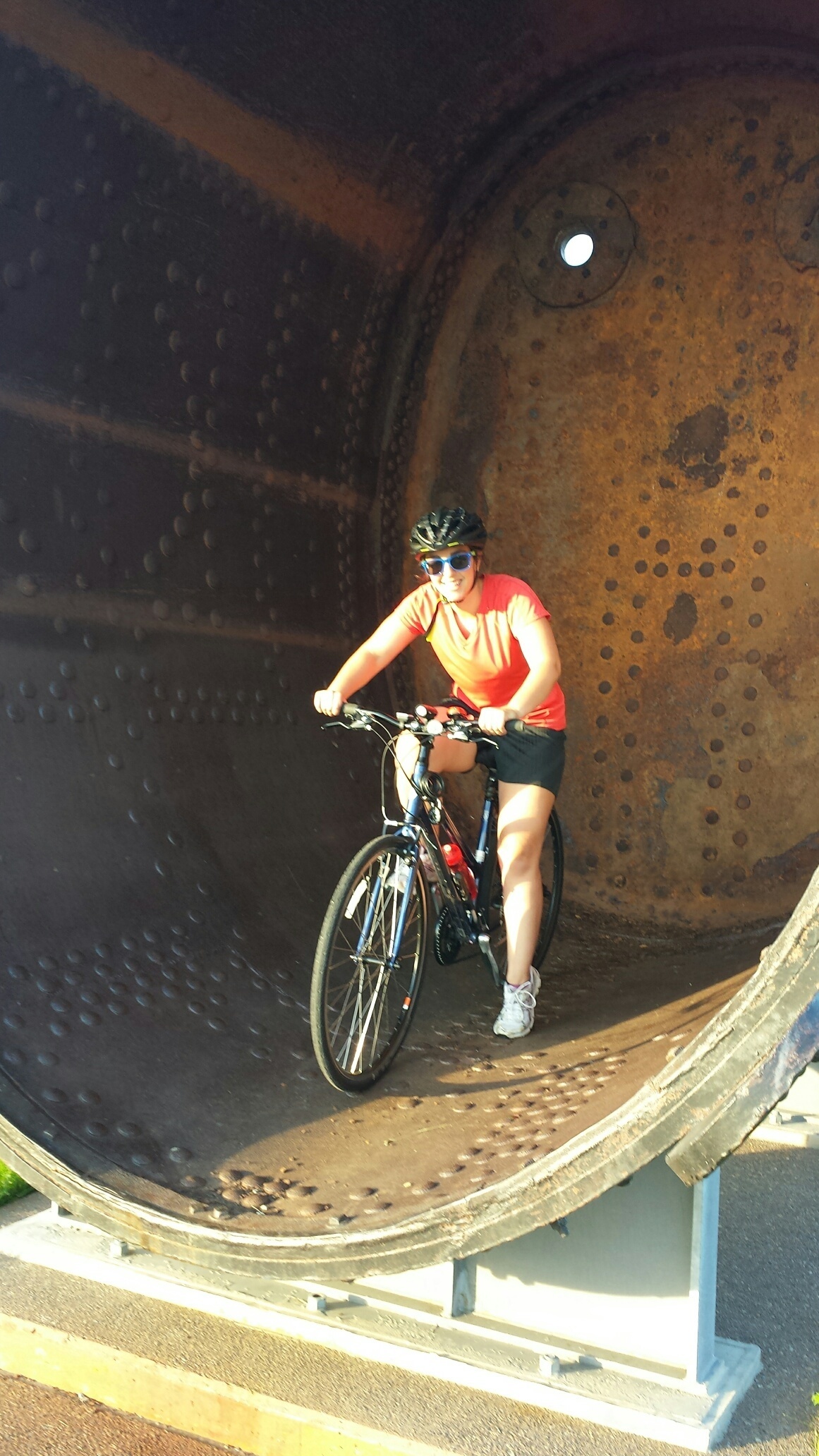 2012 trek 7.1 fx