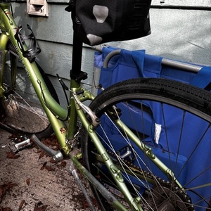 2012 Raleigh Green