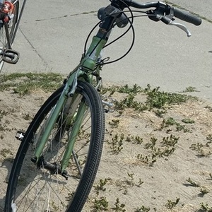 2012 Raleigh Green