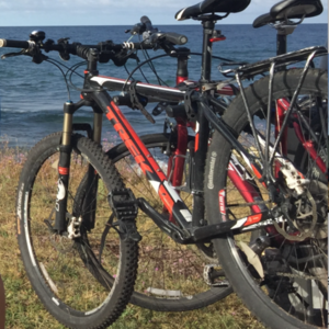 2013 Trek Black