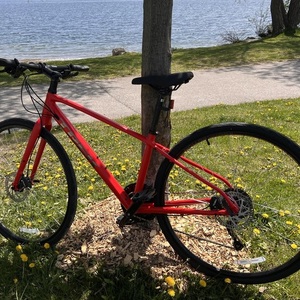 2023 Trek FX2 Red