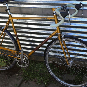 Salsa Casseroll Yellow or Gold