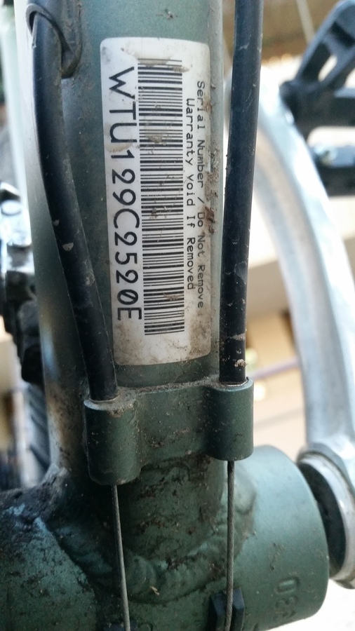 Bike photo