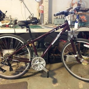 2010 Diamondback Edgewood LX